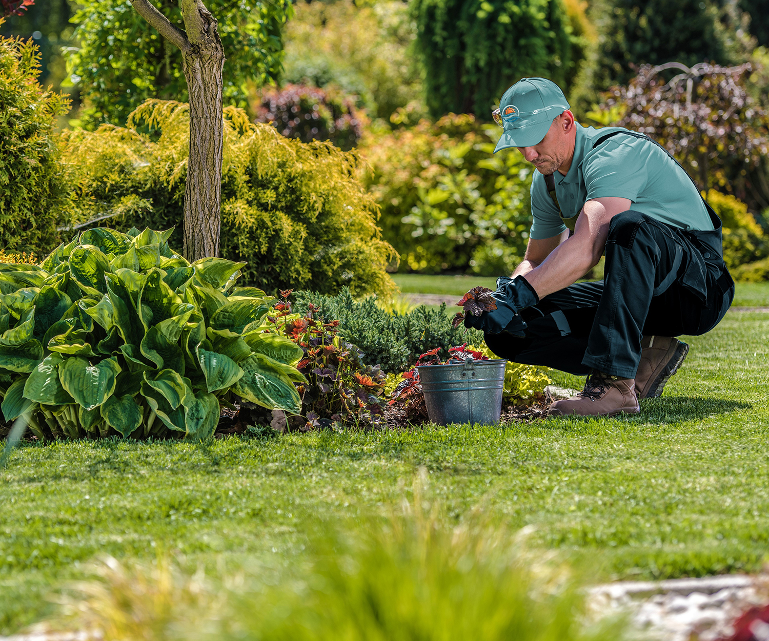 Residential Lawn Maintenance